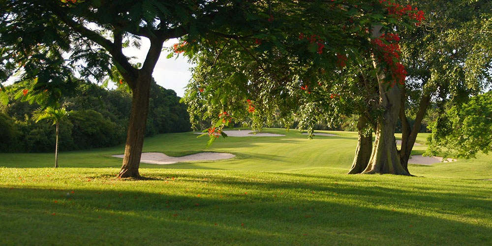 Five Caribbean Golf Resorts