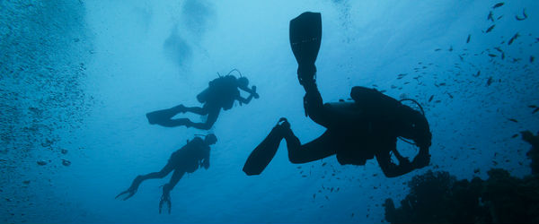 Craziest Places to Scuba Dive