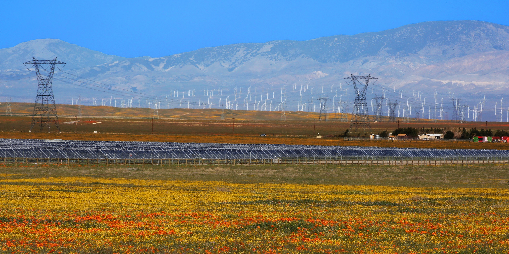 Five Largest Solar Farms