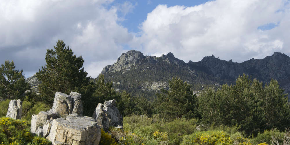 Five Day Trips from Madrid