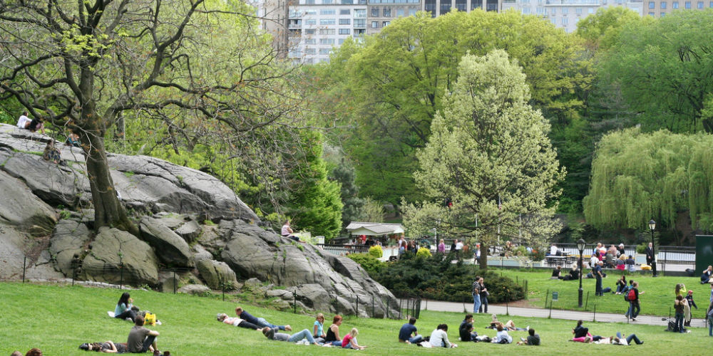 New York City Parks