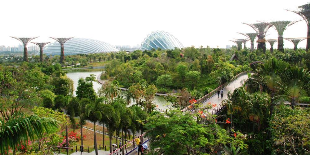15_reasons_singapore_garden